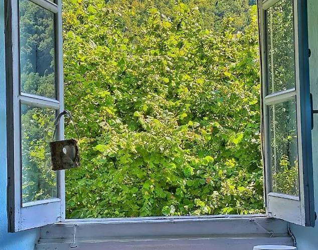La Casa Con Giardino Tra Borghi, Boschi Cascate E Natura Apartment Borzonasca