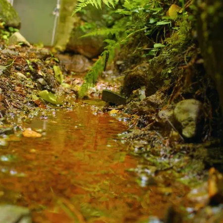 La Casa Con Giardino Tra Borghi, Boschi Cascate E Natura Appartement