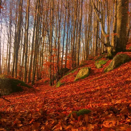 La Casa Con Giardino Tra Borghi, Boschi Cascate E Natura
