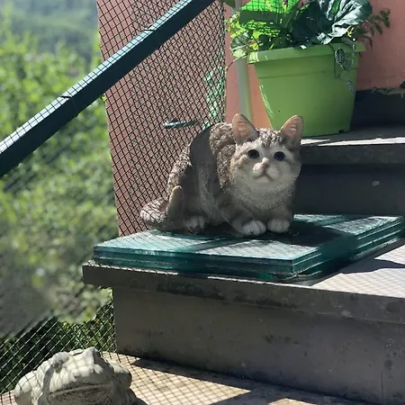 Apartment La Casa Con Giardino Tra Borghi, Boschi Cascate E Natura