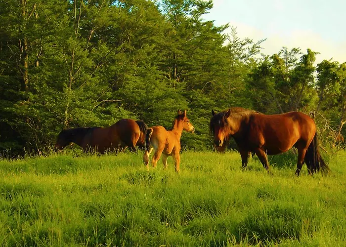 דירה La Casa Con Giardino Tra Borghi, Boschi Cascate E Natura