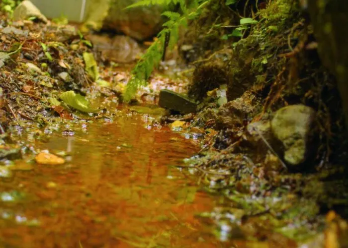 La Casa Con Giardino Tra Borghi, Boschi Cascate E Natura דירה