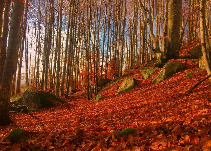 La Casa Con Giardino Tra Borghi, Boschi Cascate E Natura
