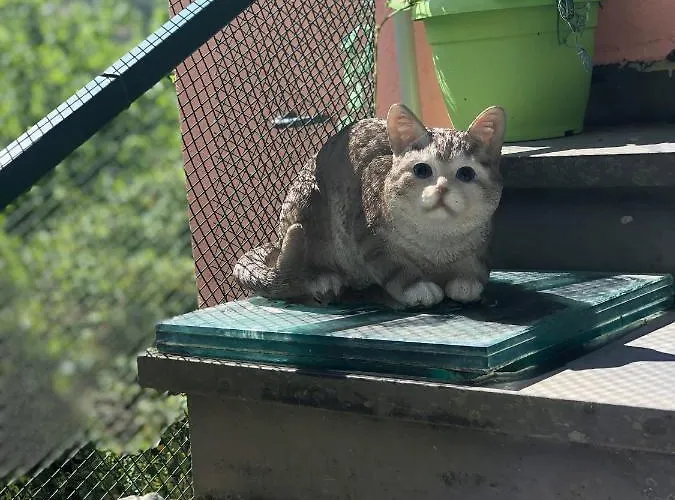 דירה La Casa Con Giardino Tra Borghi, Boschi Cascate E Natura